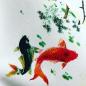 Preview: Elastischer Baumwollsatin Koi Fische Japan weiß