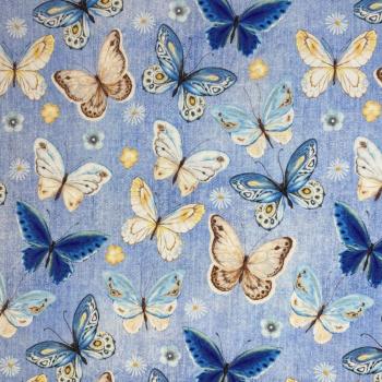 Jersey Butterfly Schmetterlinge hellblau Jeansoptik
