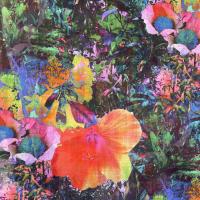 Italienische Baumwolle Voile Blumenblüten groß bunt Hibiskus