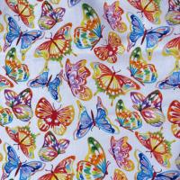 French Terry Sommersweat Schmetterlinge Rainbow Butterfly